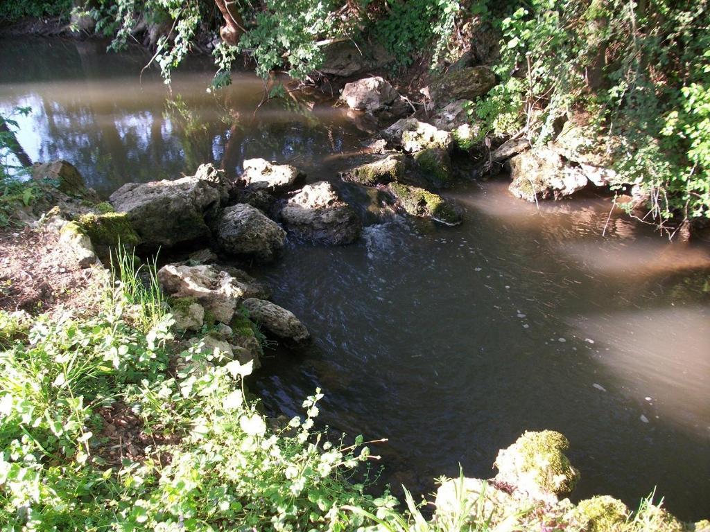 Chambre D'Hote Moulin Du Ru Aulnoy Luaran gambar